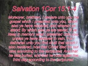 What does the Bible say about Salvation- For I delivered unto you first of all that which I also received, how that Christ died for our sins according to the scriptures; And that he was buried, and that he rose again the third day according to the scriptures: